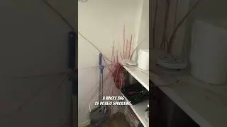 NORMAL THINGS THAT ARE ACTUALLY TERRIFYING!! 