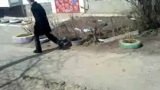 Убийца гуль