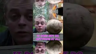 Would You Like To Look At My Potato?