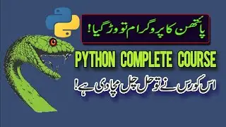 [2024] Complete Python Course for Beginners | Exercises 