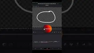 Export Animations with Alpha Channel in DaVinci Resolve
