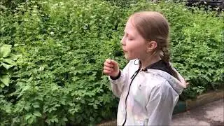 Алиса 2 мая 21г.
