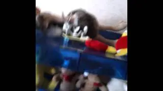 А што делать на дачє?