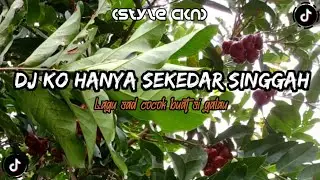 DJ Ko Hanya Sekedar Singgah | Style CKN