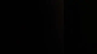 toy cat freaks out when it runs out of batteries