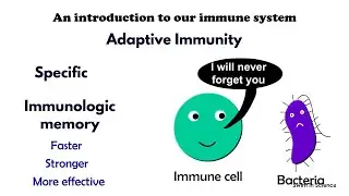 An introduction to our immune system/Adaptive Immunity