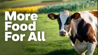 Strategies for Enhancement in Food Production