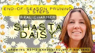 3 Stages DAISIES Pruning 🍂 Growing Home Gardening