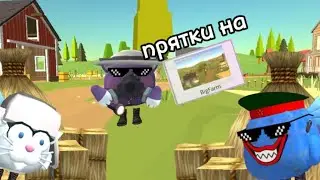 ПРЯТКИ НА КАРТЕ BIG FARM С ПОДПИСЧИКАМИ В ЧИКЕН ГАНЕ!
