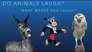 Mini Lesson  ANIMAL BEHAVIOR #minilesson #asmr #teacher #vocabulary #soundnatural #pronunciation