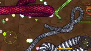 little big Snake