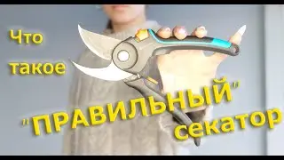 Что такое 