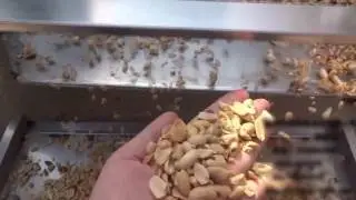 Машина для чистки орехов от шелухи