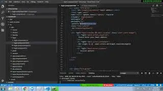 26 - ngForm and ngSubmit