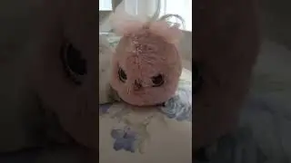 Цыпа