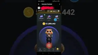 how to upgrade hamster combat level and profit per hour