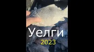 Уелги рыбалка 2023 Клев карася