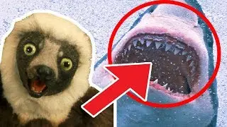 🐒 Zoboomafoo 🐒 Season | 2 HOUR Compilation | 🍌 FULL EPISODES 🍌