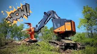 BEAST!!! TimberPro TL755D with Quadco 27sc
