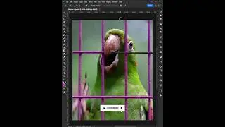 Remove Fences in Photoshop with the New Remove Tool 