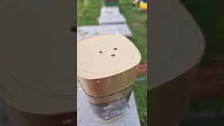ЛОВУШКА ДЛЯ ОС