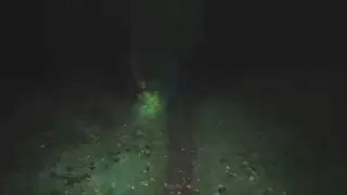 страшный мужик в лесу