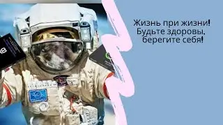 Жизнь при жизни! Будьте здоровы, берегите себя!