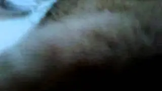 Gattopazzo6