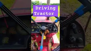 Driving Tractor In My  Home Village | BEE | #tractor #tractorvideos #tractorshorts