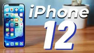 iPhone 12. ОБЗОР СПУСТЯ 6 МЕСЯЦЕВ ИСПОЛЬЗОВАНИЯ