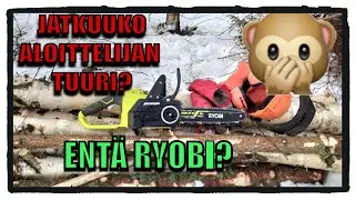 Paluu polttopuurankojen kaatoon