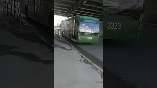 тролза мегаполис честь год моему каналу🥳🥳