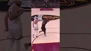 NBA LeBron James  