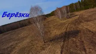 Берёзки FPV .