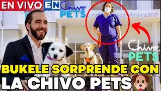 Nayib Bukele has done it again! 🐶💥 CHIVO PETS reopens and unleashes chaos in EL SALVADOR.