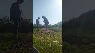 Привет, друзья)