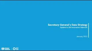 The UN Data Strategy - Lessons Learnt from the first 18 Months