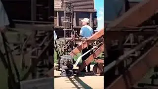 РАЗГРУЗКА ЗЕРНА.ОЗИМАЯ РОЖЬ #уборкаурожая#озимаярожь#shorts
