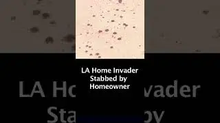 Home Invasion Stopped by a Vacuum Cleaner & a Knife in Los Angeles