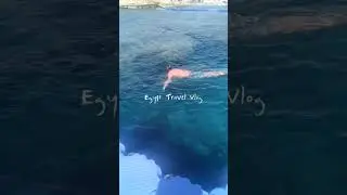 7 days in Egypt: 🐠 Amazing snorkeling, 20° every day. 👏We flew via UK #sharmelsheikh #diving #egypt