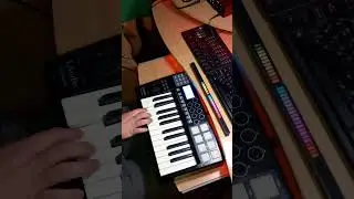 Enigma - Sadness ( cover от Rebus club ) #instrumental #loopcover #музыка #midicontroller  #drums