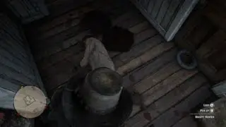 Red Dead Redemption 2_2024