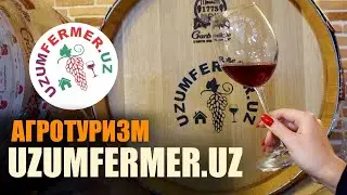 Агротуризм в Узбекистане. Семейная винодельня Uzumfermer.uz
