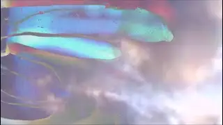 About Energy
