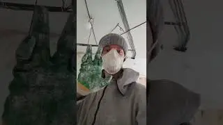 #пальчиковаягимнастика