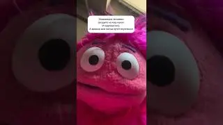 Канал захватил Вурсик 