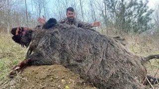 #domuz avı / wild boar hunting