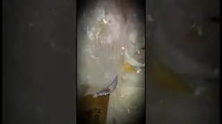 Соево-кокосовые свечи в упаковочном исполнении