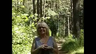 Un manuscrito encontrado en la selva