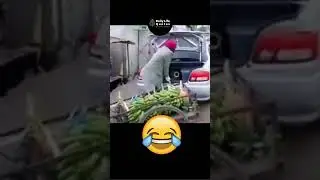 Two thieves make a market 😂🔥LIFE QUOTES | #shorts #daily_life_quotes